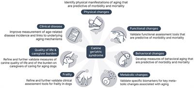 Canine Geriatric Syndrome: A Framework for Advancing Research in Veterinary Geroscience